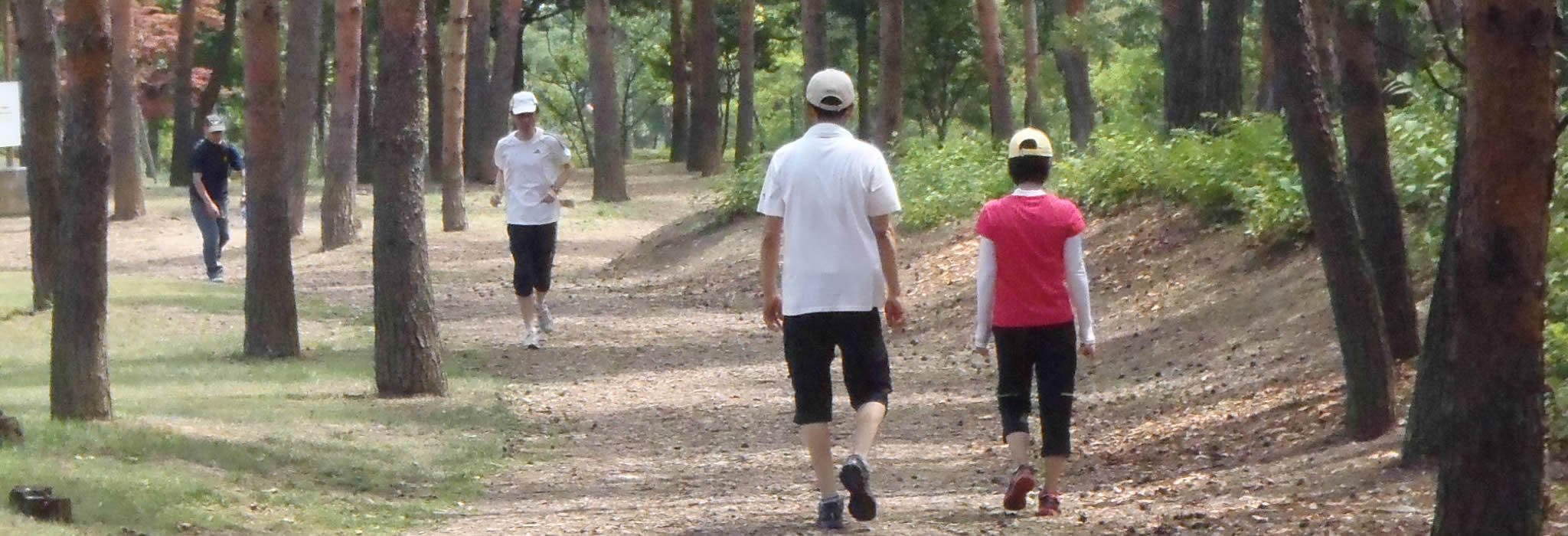 クロスカントリーコース クロスカントリーコース