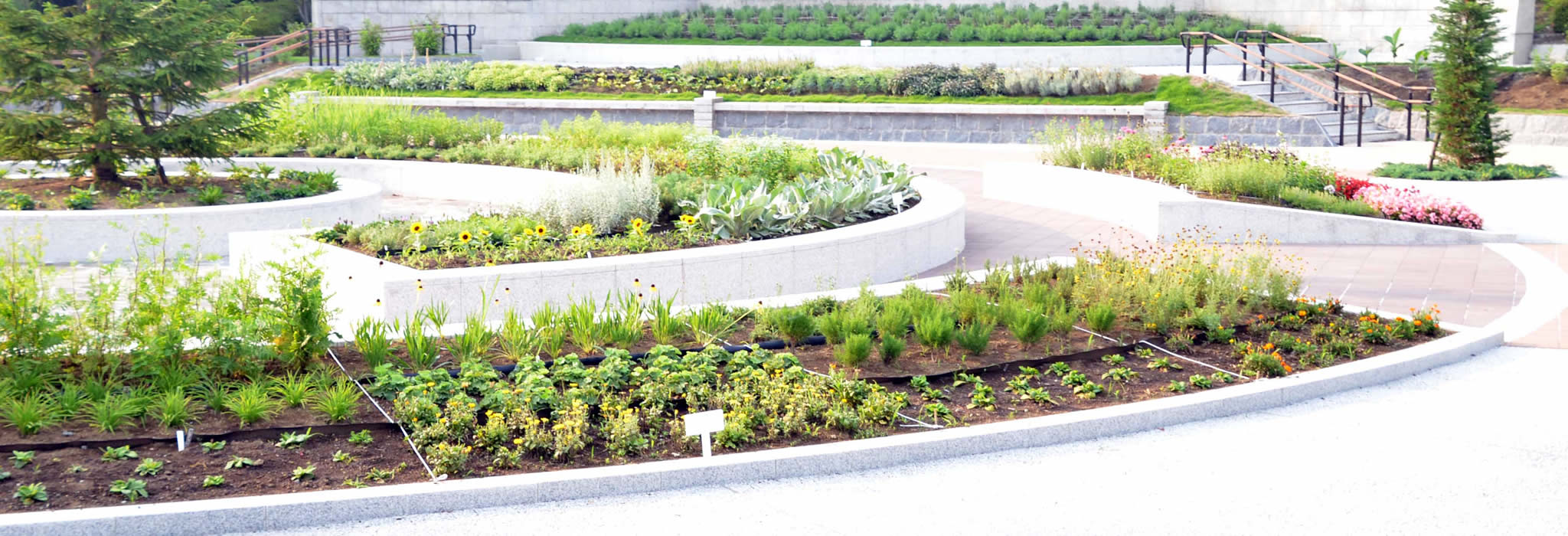 ハーブガーデン ハーブガーデン